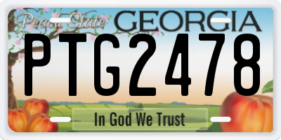 GA license plate PTG2478