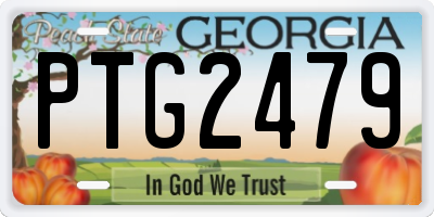 GA license plate PTG2479