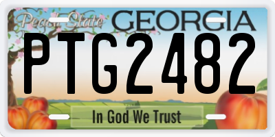 GA license plate PTG2482