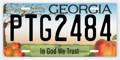 GA license plate PTG2484