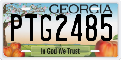 GA license plate PTG2485