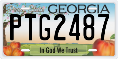 GA license plate PTG2487