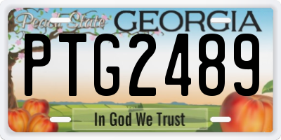GA license plate PTG2489