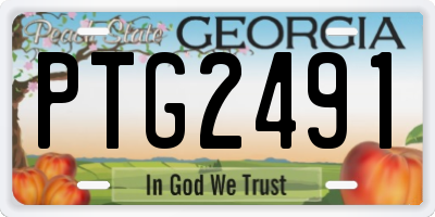 GA license plate PTG2491