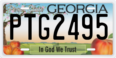 GA license plate PTG2495
