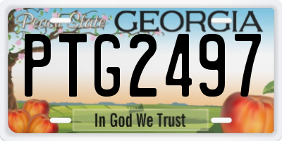 GA license plate PTG2497