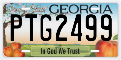 GA license plate PTG2499