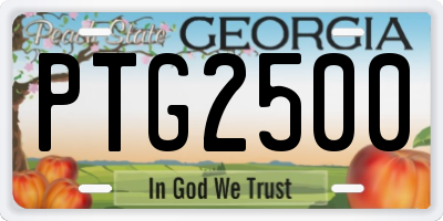 GA license plate PTG2500