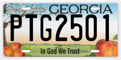 GA license plate PTG2501