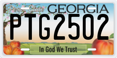 GA license plate PTG2502
