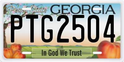 GA license plate PTG2504