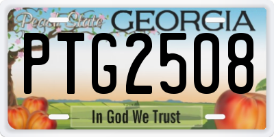 GA license plate PTG2508