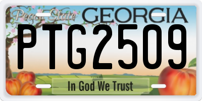 GA license plate PTG2509