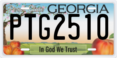 GA license plate PTG2510