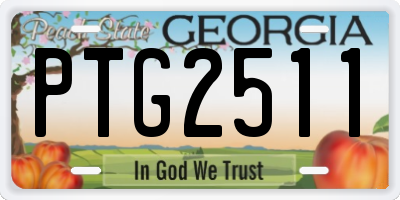 GA license plate PTG2511