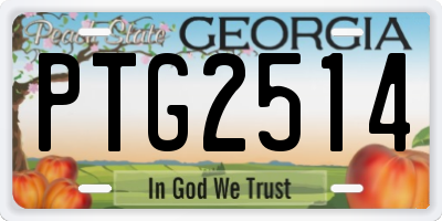 GA license plate PTG2514