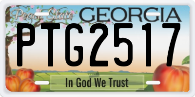 GA license plate PTG2517