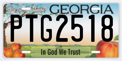 GA license plate PTG2518