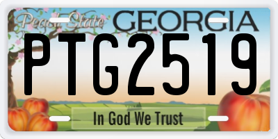 GA license plate PTG2519