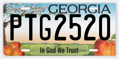GA license plate PTG2520