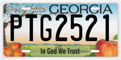 GA license plate PTG2521