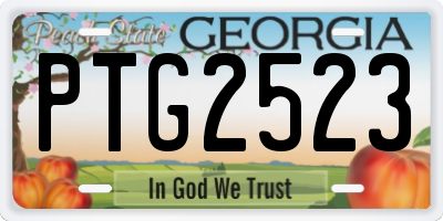 GA license plate PTG2523
