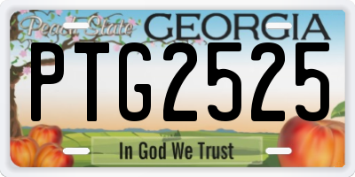 GA license plate PTG2525