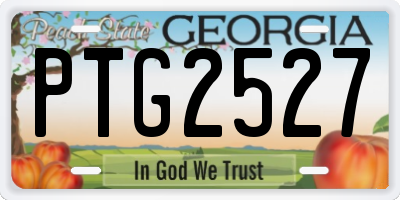 GA license plate PTG2527