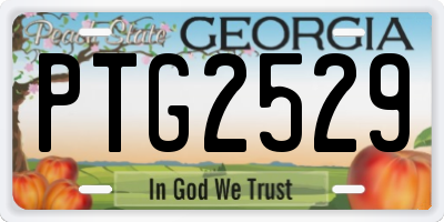 GA license plate PTG2529
