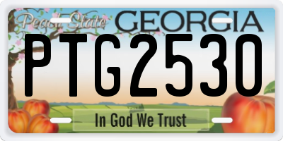 GA license plate PTG2530