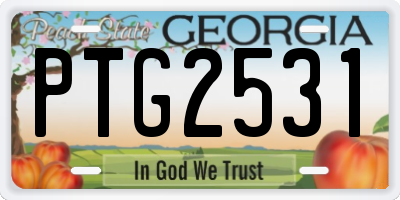 GA license plate PTG2531