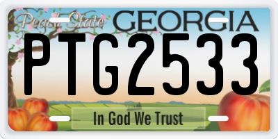 GA license plate PTG2533