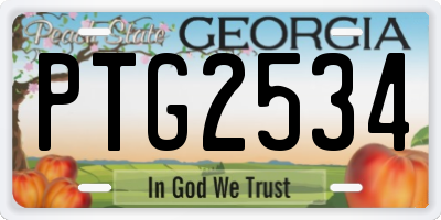 GA license plate PTG2534
