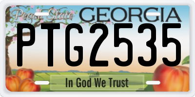 GA license plate PTG2535