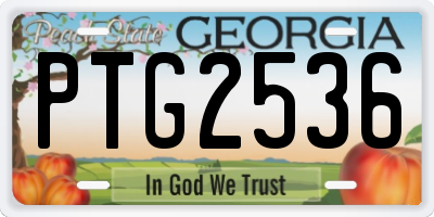GA license plate PTG2536