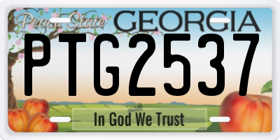 GA license plate PTG2537