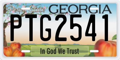 GA license plate PTG2541