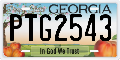 GA license plate PTG2543