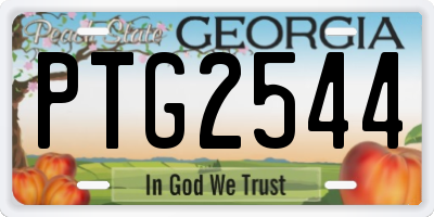 GA license plate PTG2544