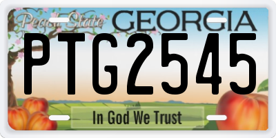 GA license plate PTG2545