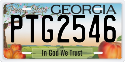 GA license plate PTG2546