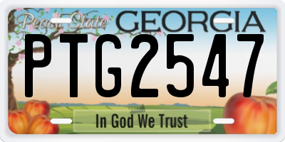 GA license plate PTG2547