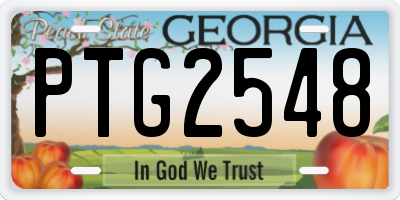 GA license plate PTG2548
