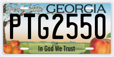 GA license plate PTG2550