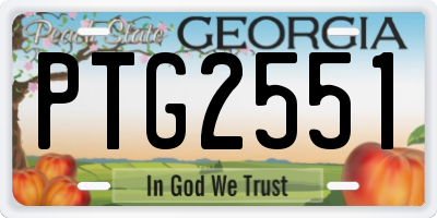 GA license plate PTG2551