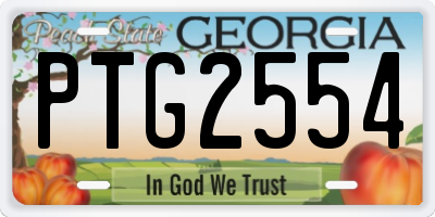 GA license plate PTG2554