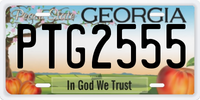 GA license plate PTG2555