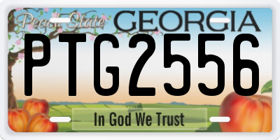 GA license plate PTG2556