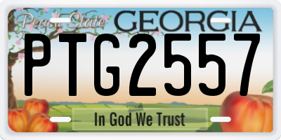GA license plate PTG2557