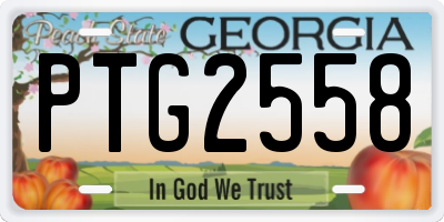 GA license plate PTG2558
